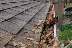 Roof Cleaning in Kingwood TX, Roof Cleaning in Humble TX, Roof Cleaning in Atascocita TX, Roof Cleaning in Spring TX, Roof Cleaning in Klein TX, Roof Cleaning in The Woodlands TX, Roof Cleaning in Conroe TX, Roof Cleaning in Rayford TX, Roof Cleaning in Porter TX, Roof Cleaning in Houston TX, Roof Cleaning in Cleveland TX, Roof Cleaning in Splendora TX, Roof Cleaning in Plum Grove Caney TX, Roof Cleaning in Huffman TX, Roof Cleaning in Dayton TX, Roof Cleaning in New Caney TX, Roof Cleaning in Porter Heights TX, Roof Cleaning in Woodbranch TX, Roof Cleaning in Cypress TX, Roof Cleaning in Westfield TX, Roof Cleaning in Willow TX, Roof Cleaning in Avonak TX, Roof Cleaning in Harmaston TX, Roof Cleaning in Shenandoah TX, Roof Cleaning in Crosby TX, Roof Cleaning in Huntsville TX, Roof Cleaning in Katy TX, Roof Cleaning in Pasadena TX, Roof Cleaning in Montgomery TX, Roof Cleaning in Magnolia TX