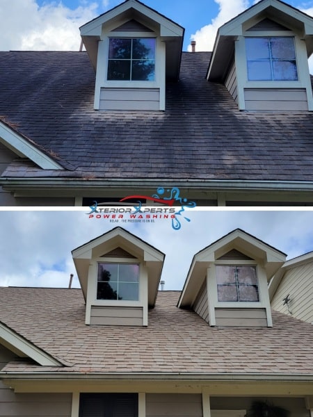 Roof Cleaning In Texas (1)